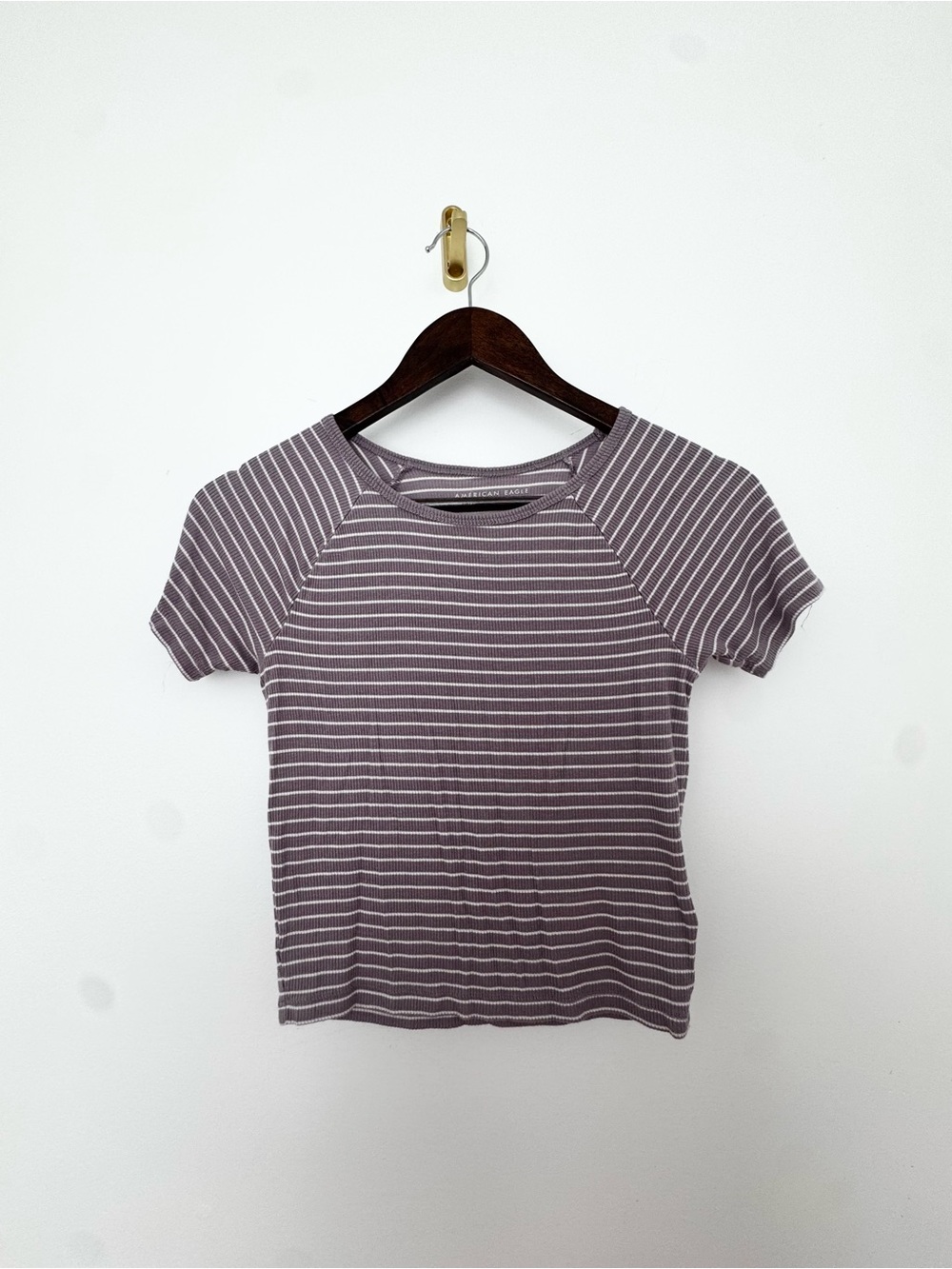 American Eagle Soft & Sexy Ribbed Striped Baby Tee XS Purple Y2K